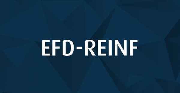 Manual de Orientação ao Contribuinte da EFD-REINF