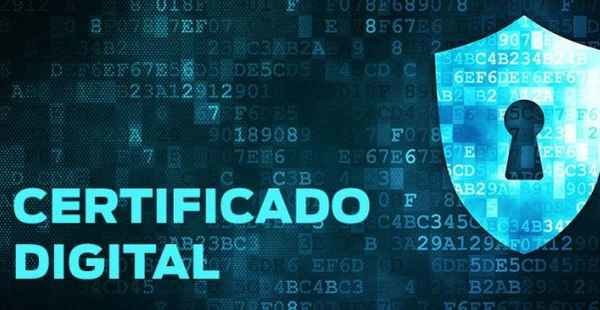 Emissão de certificados digitais cresce no Brasil; saiba como ter o seu