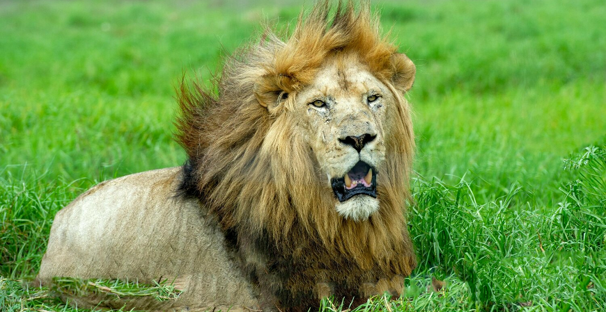 As regras do IRPF 2026 estão chegando! As regras do IRPF 2026 estão chegando!