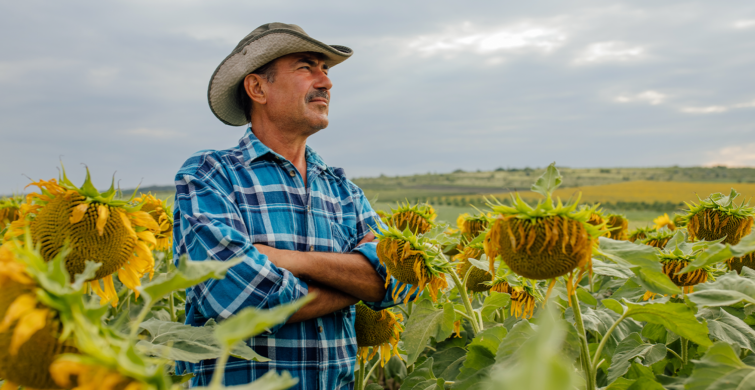 Governo lança nova linha de crédito para agricultores familiares