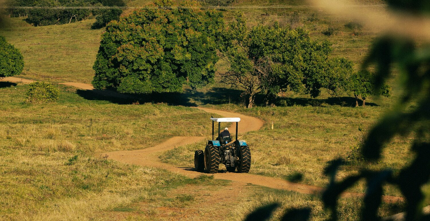 Reforma Tributária e holding no agronegócio: ainda vale a pena proteger o patrimônio rural por meio de uma empresa?