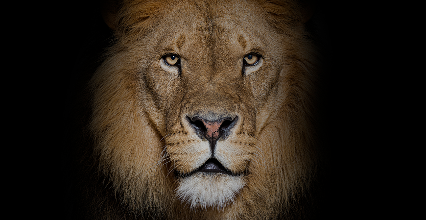 Deduções no IRPF 2026 podem aumentar restituição mas também levar à malha fina; veja cuidados