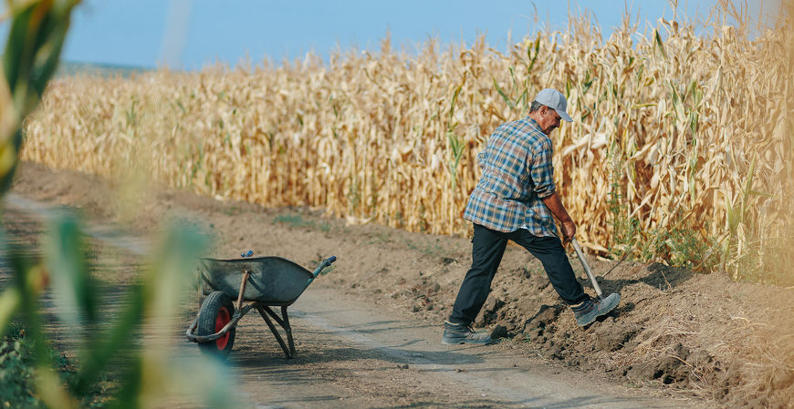 INSS: sancionada lei que dispensa multa para contar tempo de trabalho rural anterior a 1991 na aposentadoria