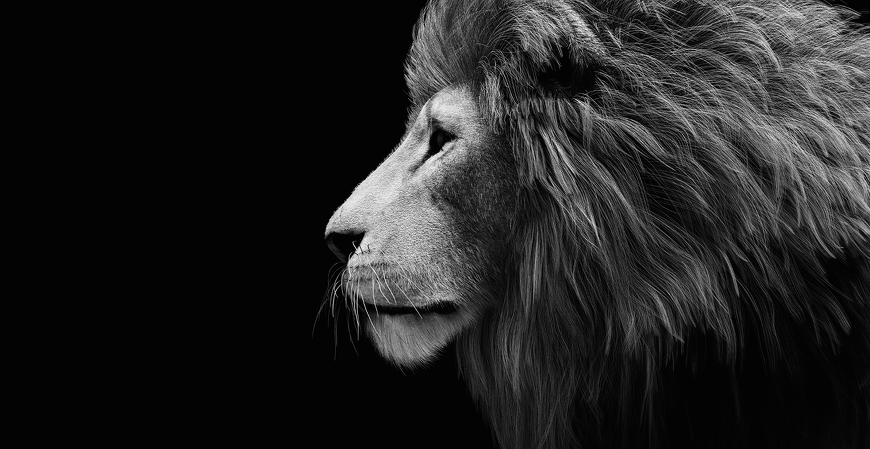 Receita Federal amplia orientação do IR 2026 com lives semanais e ações com contadores