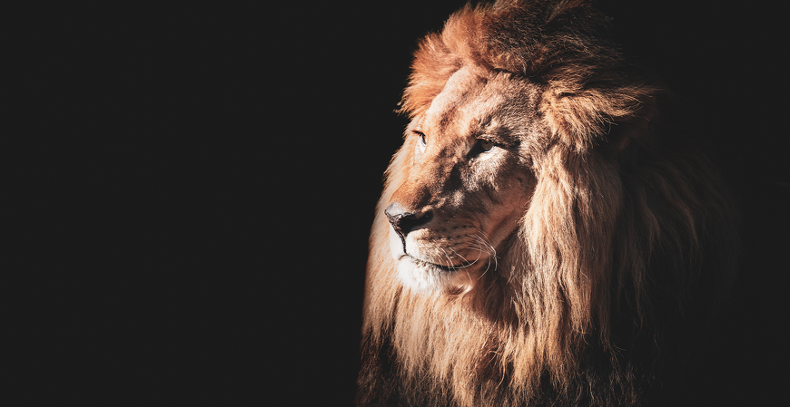 IRPF 2026: descubra as principais questões polêmicas da declaração