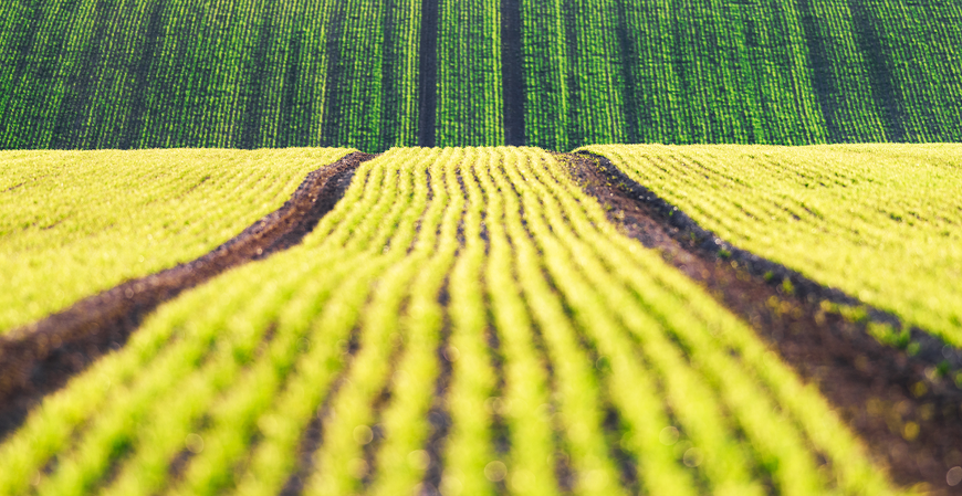 Justiça garante crédito de PIS/Cofins a empresa do agro após mudanças na LC 224/2025