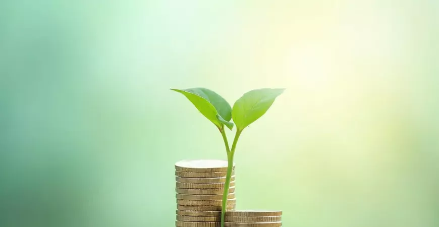 Independência financeira após os 40 vai além da aposentadoria