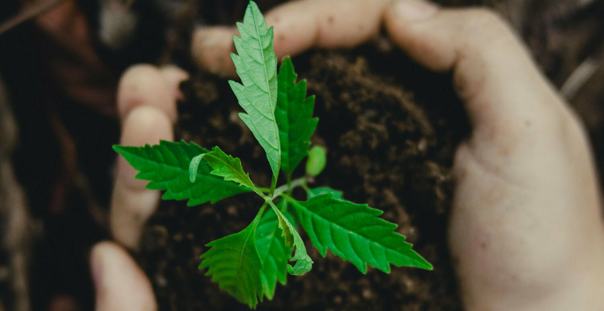 Negócios que conectam pessoas e sustentabilidade ganham força no Brasil